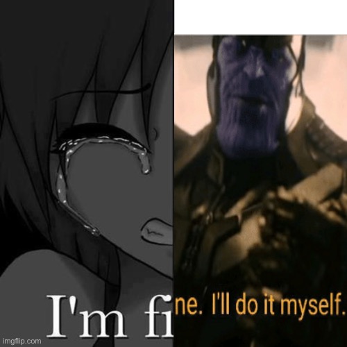 I'm fi | image tagged in i'm fi | made w/ Imgflip meme maker