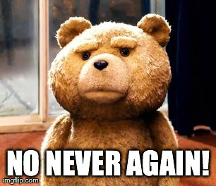 TED Meme | NO NEVER AGAIN! | image tagged in memes,ted | made w/ Imgflip meme maker