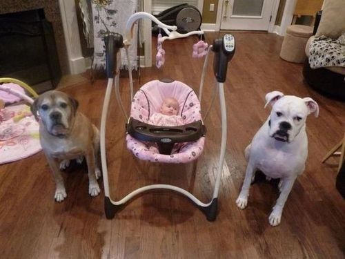 Chrisjoines1 Blank Meme Template