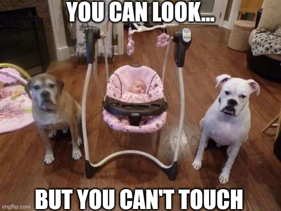 You Can Look... But You Can't Touch | YOU CAN LOOK... BUT YOU CAN'T TOUCH | image tagged in chrisjoines1 | made w/ Imgflip meme maker