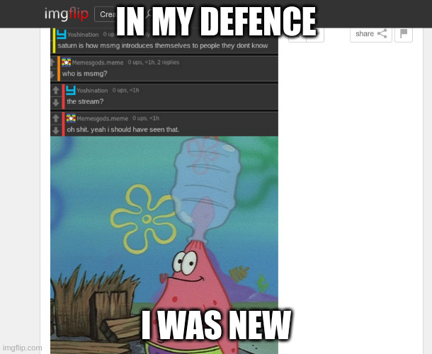 im new to the stream. | IN MY DEFENCE; I WAS NEW | image tagged in new | made w/ Imgflip meme maker