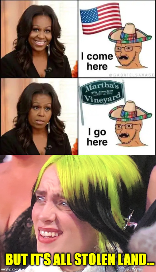 BUT IT'S ALL STOLEN LAND... | image tagged in billie eilish oscars | made w/ Imgflip meme maker