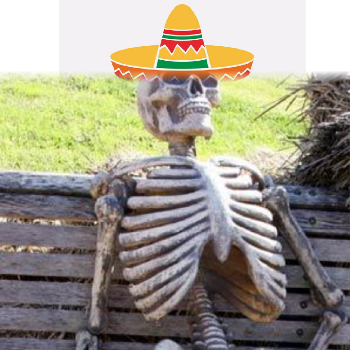 Skeleton Blank Meme Template