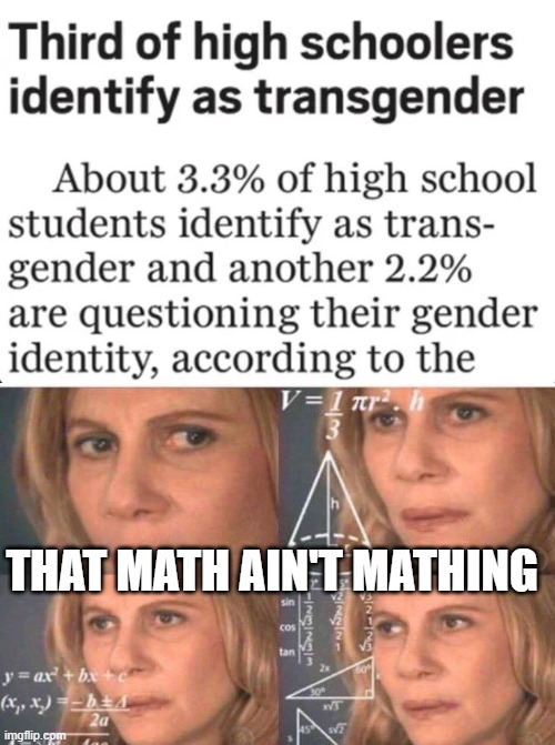 One Third is 33% | THAT MATH AIN'T MATHING | image tagged in math lady/confused lady | made w/ Imgflip meme maker
