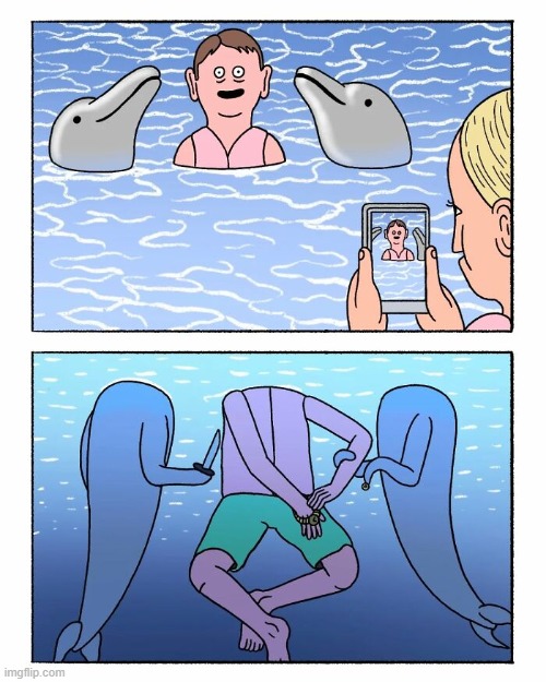 Dolphin Hostage | image tagged in comics | made w/ Imgflip meme maker