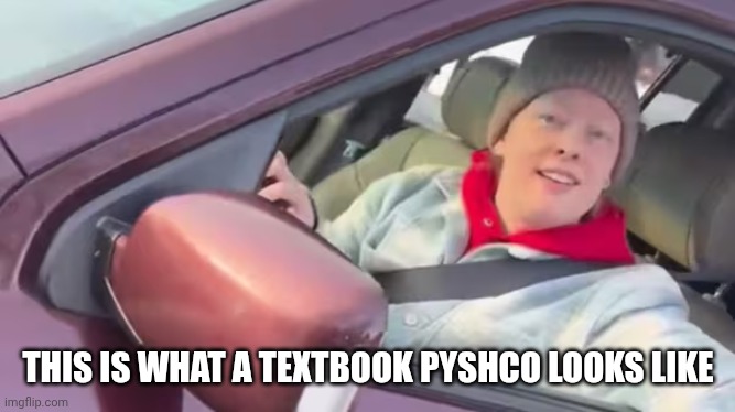 Minnesota Woman ICE | THIS IS WHAT A TEXTBOOK PYSHCO LOOKS LIKE | image tagged in minnesota woman ice | made w/ Imgflip meme maker