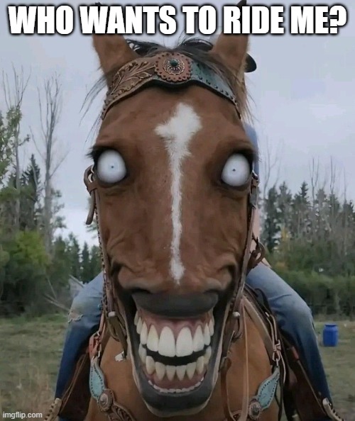 Cursed Horse | WHO WANTS TO RIDE ME? | image tagged in cursed image | made w/ Imgflip meme maker