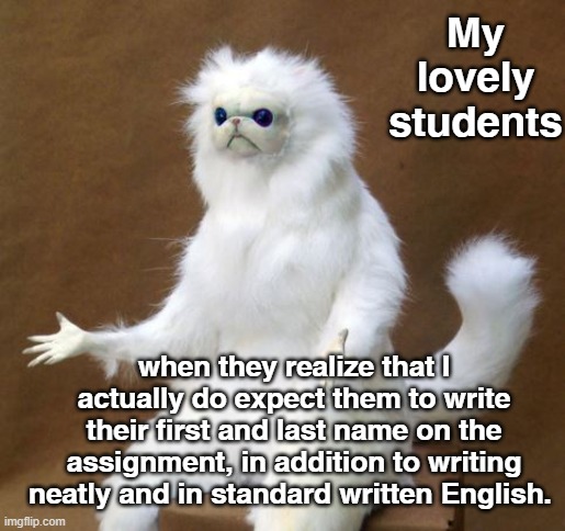It's True | My lovely students; when they realize that I actually do expect them to write their first and last name on the assignment, in addition to writing neatly and in standard written English. | image tagged in what the heck cat,english,teacher,high school,grammar | made w/ Imgflip meme maker