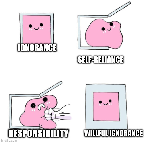 Never Again | IGNORANCE; SELF-RELIANCE; RESPONSIBILITY; WILLFUL IGNORANCE | image tagged in never again | made w/ Imgflip meme maker