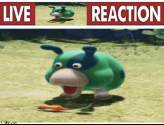 live moss reaction | image tagged in live moss reaction | made w/ Imgflip meme maker