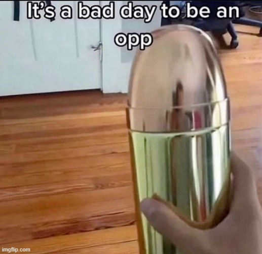 opp | image tagged in what | made w/ Imgflip meme maker