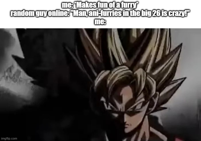 Image title | me: *Makes fun of a furry*
random guy online: "Man, ani-furries in the big 26 is crazy!"
me: | image tagged in goku staring | made w/ Imgflip meme maker