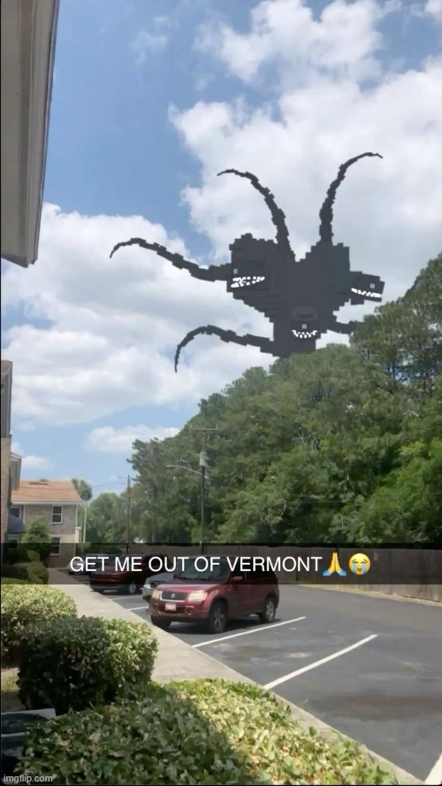 vermont | image tagged in what | made w/ Imgflip meme maker