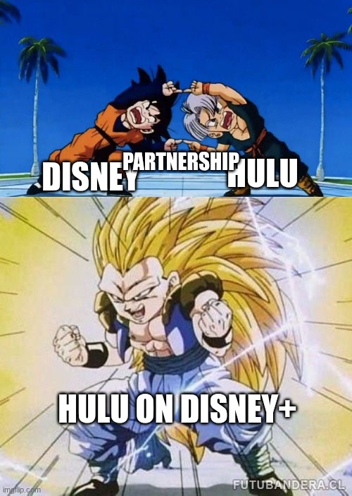 Disney will own Netflix someday | HULU; DISNEY; PARTNERSHIP; HULU ON DISNEY+ | image tagged in dbz fusion | made w/ Imgflip meme maker