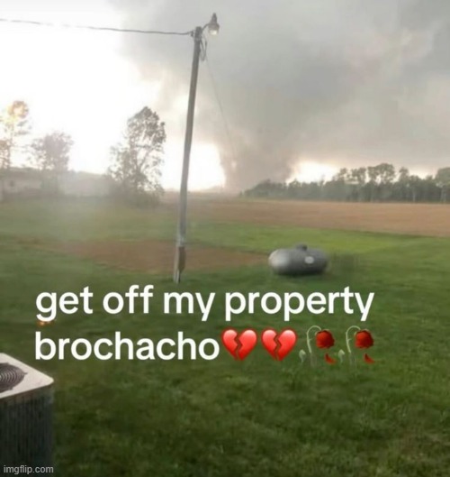 property | image tagged in what | made w/ Imgflip meme maker