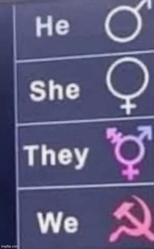 gender | image tagged in what | made w/ Imgflip meme maker