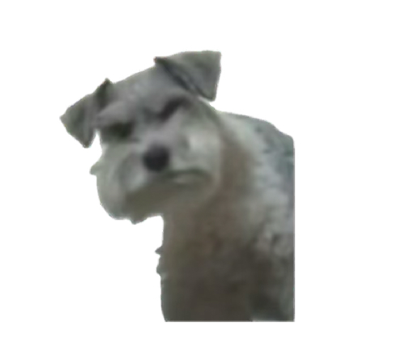 Angry Dog Blank Meme Template