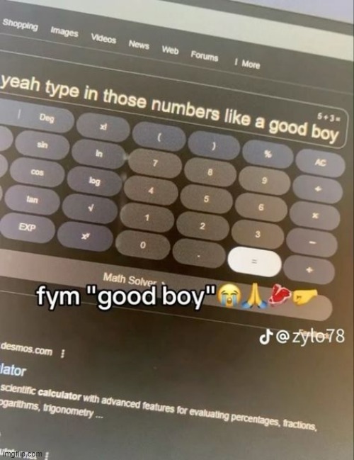 good boy | image tagged in what | made w/ Imgflip meme maker