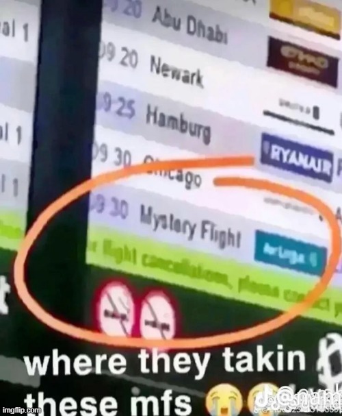 mystery flight | image tagged in what | made w/ Imgflip meme maker