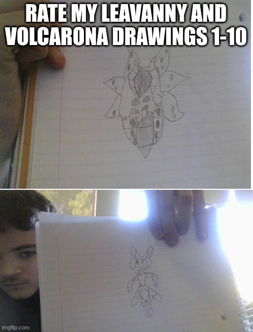 Pls give constructive critisim! | RATE MY LEAVANNY AND VOLCARONA DRAWINGS 1-10 | image tagged in art,cool bug facts | made w/ Imgflip meme maker