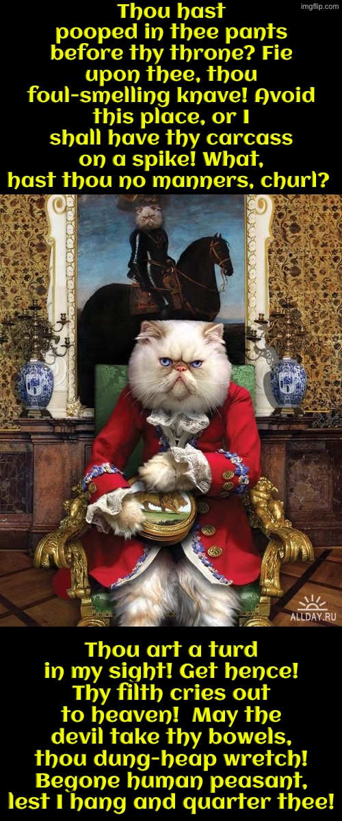 Thou Hast Pooped Thy Pants Before Thy Throne? | Thou hast pooped in thee pants before thy throne? Fie upon thee, thou foul-smelling knave! Avoid this place, or I shall have thy carcass on a spike! What, hast thou no manners, churl? Thou art a turd in my sight! Get hence! Thy filth cries out to heaven!  May the devil take thy bowels, thou dung-heap wretch! Begone human peasant, lest I hang and quarter thee! | image tagged in cats,funny cats,medieval memes,the king,poopy pants,insults | made w/ Imgflip meme maker