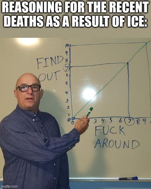 F around and find out. | REASONING FOR THE RECENT DEATHS AS A RESULT OF ICE: | image tagged in find out | made w/ Imgflip meme maker