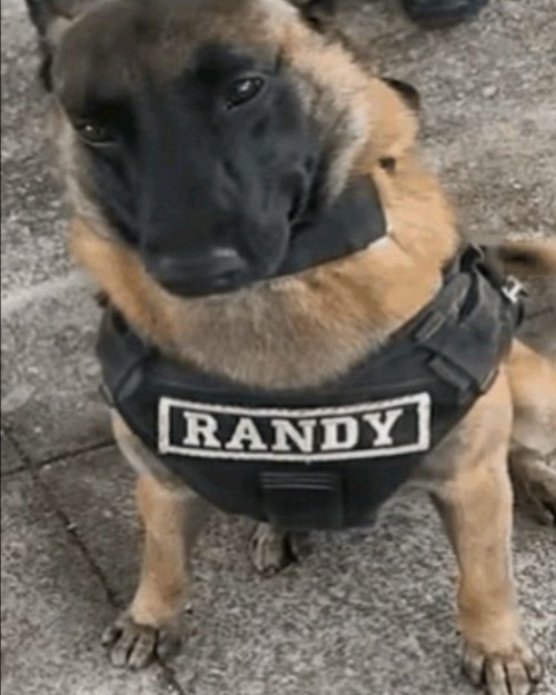 y'all what are we posting | made w/ Imgflip meme maker