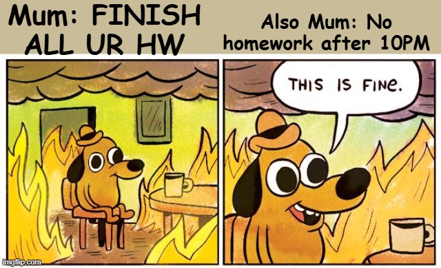 This Is Fine Meme | Also Mum: No homework after 10PM; Mum: FINISH ALL UR HW | image tagged in memes,this is fine | made w/ Imgflip meme maker