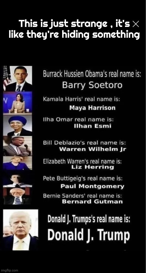 Like Hollywood Stars | This is just strange , it's like they're hiding something | image tagged in deception,well yes but actually no,why is the fbi here,why is my sister's name rose | made w/ Imgflip meme maker