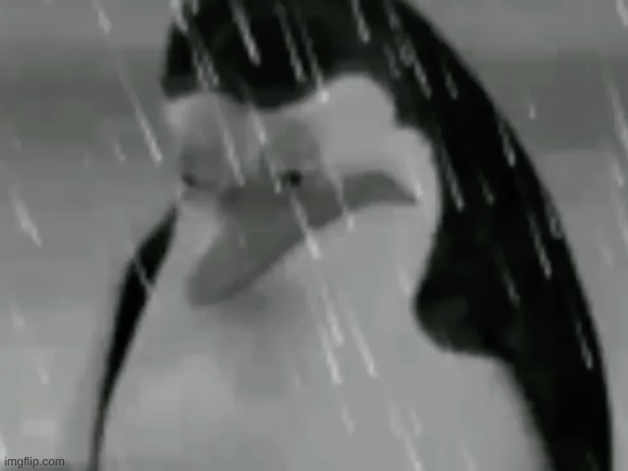 why am I like this? | image tagged in sadge | made w/ Imgflip meme maker