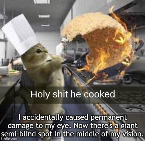 If I misread your comment or smth, pls go easy on me. | I accidentally caused permanent damage to my eye. Now there's a giant semi-blind spot in the middle of my vision. | image tagged in holy shit he cooked | made w/ Imgflip meme maker