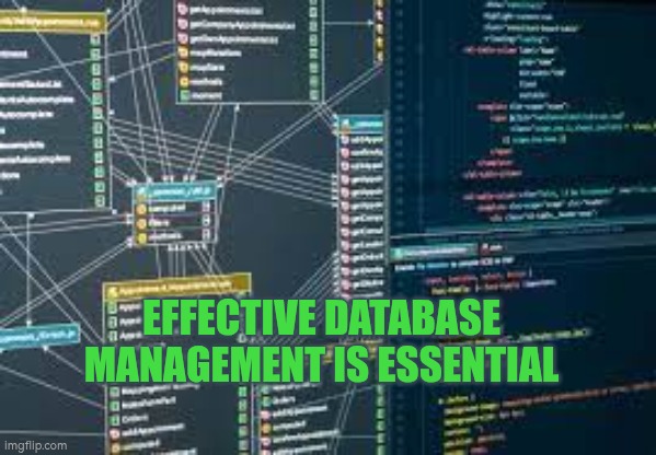 Effective databases are essential | EFFECTIVE DATABASE MANAGEMENT IS ESSENTIAL | image tagged in database,edms,autism,organisations,teamwork | made w/ Imgflip meme maker