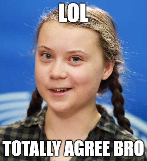LOL TOTALLY AGREE BRO | image tagged in greta thunberg | made w/ Imgflip meme maker