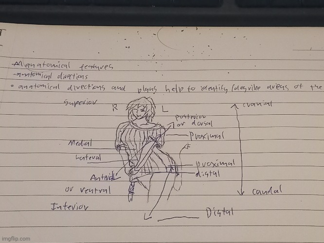 she's helping my with my anatomy notes, how kind | made w/ Imgflip meme maker