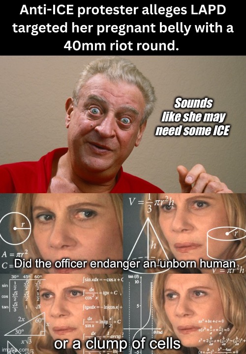 Ice ice baby | Sounds like she may need some ICE; Did the officer endanger an unborn human; or a clump of cells | image tagged in rodney dangerfield,calculating meme,politics lol,memes | made w/ Imgflip meme maker