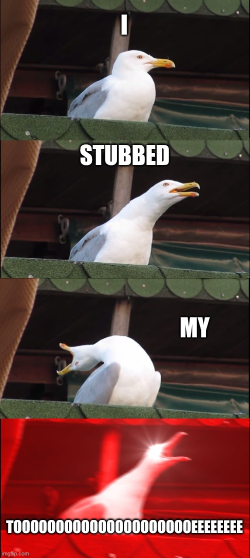 ow :( | I; STUBBED; MY; TOOOOOOOOOOOOOOOOOOOOOEEEEEEEE | image tagged in memes,inhaling seagull | made w/ Imgflip meme maker