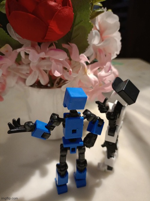 Yesterday i took some pics in a restaurant | image tagged in shiro,kuro,friends | made w/ Imgflip meme maker