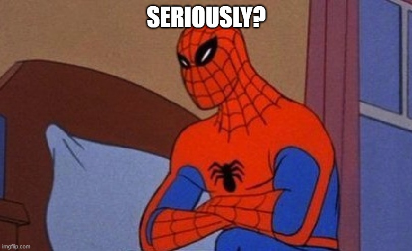 Angry Spiderman | SERIOUSLY? | image tagged in angry spiderman | made w/ Imgflip meme maker
