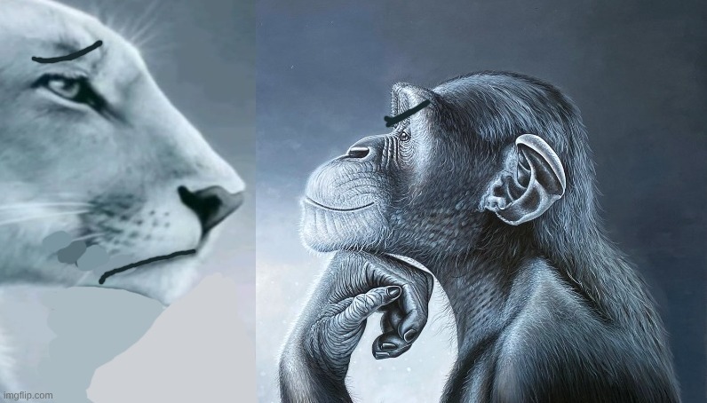 when an mf claiming they're successfully ragebaiting you but you ain't angry and they're saying GENUINELY fucked up stuff: | made w/ Imgflip meme maker