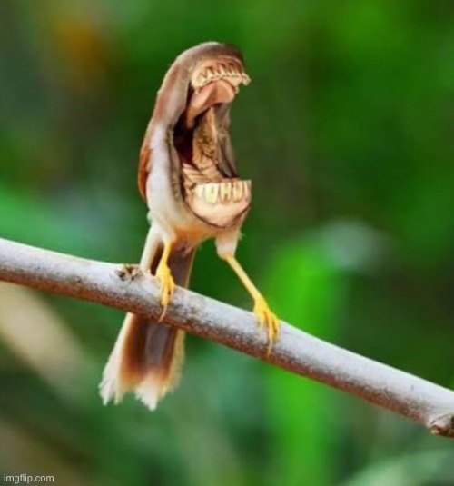 me btw if you even care | made w/ Imgflip meme maker