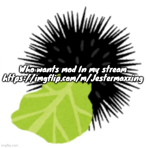 https://imgflip.com/m/Jestermaxxing | Who wants mod In my stream
https://imgflip.com/m/Jestermaxxing | image tagged in illustration of a sea urchin eating cabbage | made w/ Imgflip meme maker