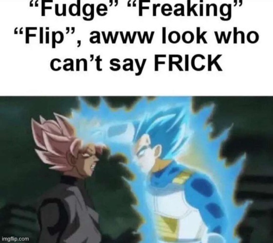 Pardon the language | made w/ Imgflip meme maker