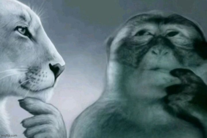 Lion and monkey thinking | image tagged in lion and monkey thinking | made w/ Imgflip meme maker