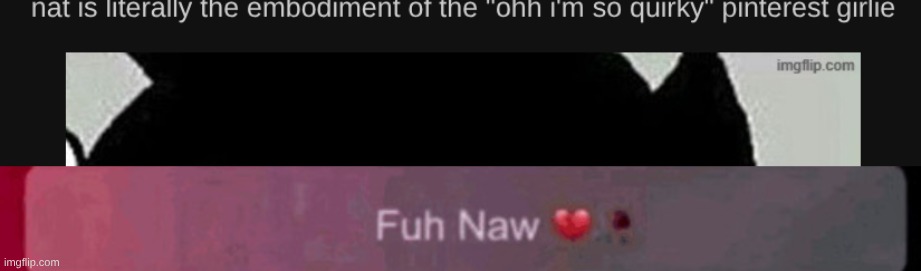 if I EVER go "i'm so quirky!!" I want you to shoot me | image tagged in was this post worth your time | made w/ Imgflip meme maker