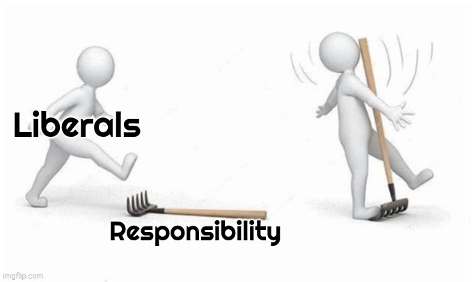Ouch | Liberals Responsibility | image tagged in ouch | made w/ Imgflip meme maker