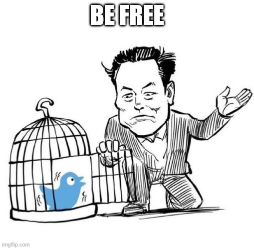 Thank God for Elon | BE FREE | image tagged in elon musk,twitter | made w/ Imgflip meme maker