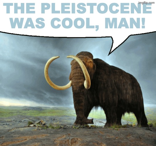 Mastodon Says | THE PLEISTOCENE WAS COOL, MAN! | image tagged in mastodon says | made w/ Imgflip meme maker
