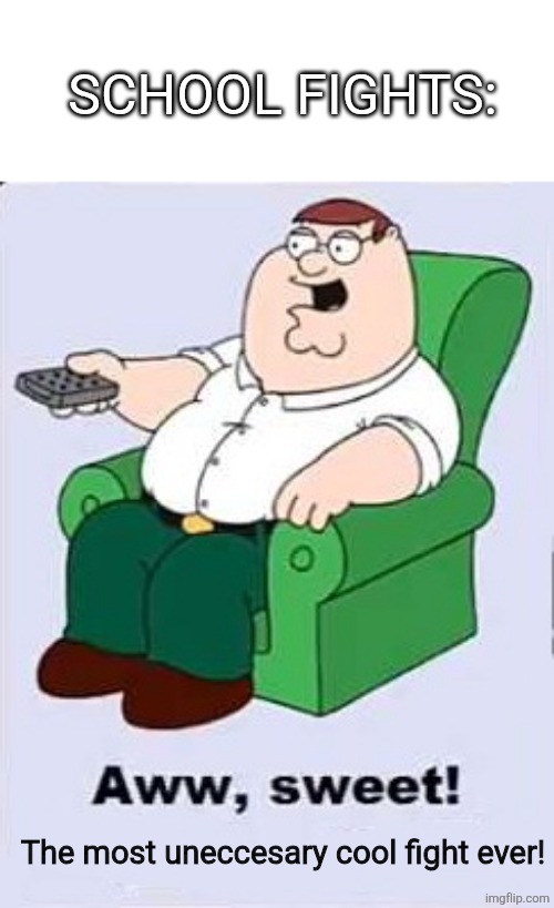 Aww, Sweet! ____ | SCHOOL FIGHTS:; The most uneccesary cool fight ever! | image tagged in aww sweet ____ | made w/ Imgflip meme maker