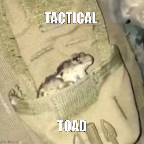 Tactical toad | TACTICAL; TOAD | image tagged in tactical toad | made w/ Imgflip meme maker