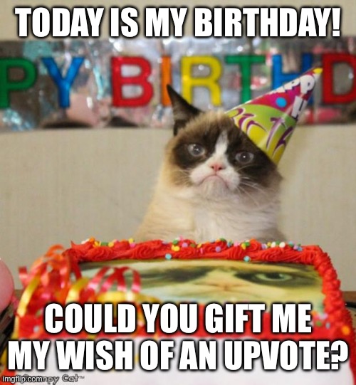 Bday! | TODAY IS MY BIRTHDAY! COULD YOU GIFT ME MY WISH OF AN UPVOTE? | image tagged in memes,grumpy cat birthday,grumpy cat | made w/ Imgflip meme maker